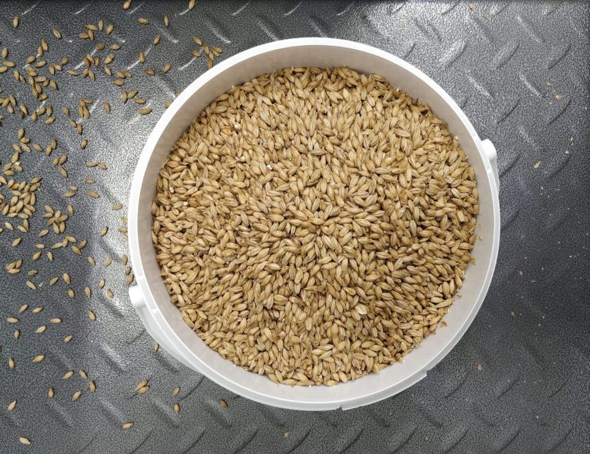 imagen del proceso de creación de las Cervezas Gran Vía: Auténtica cerveza sin gluten en Sevilla